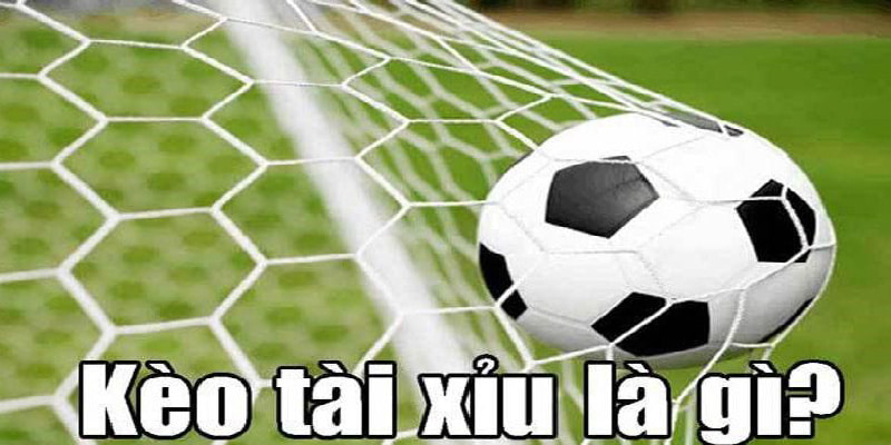 Khái niệm kèo tài xỉu tân thủ nên biết Khái niệm kèo tài xỉu tân thủ nên biết